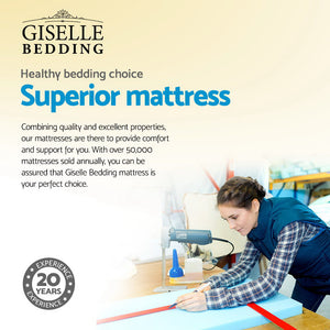 Double Size Giselle Bedding Euro Spring Foam Mattress